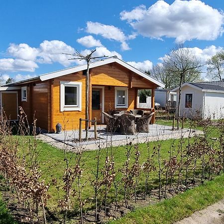 Nieuw - Luxe Blokhut Chalet In Bosrijke Omgeving Anloo Экстерьер фото